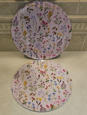 Dolly Parton Wildflower Melamine 10in. Dinner Plates Set Of 4